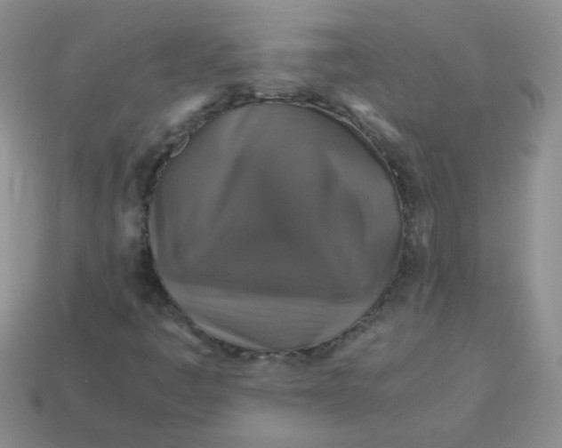 X0000113601445200910091511