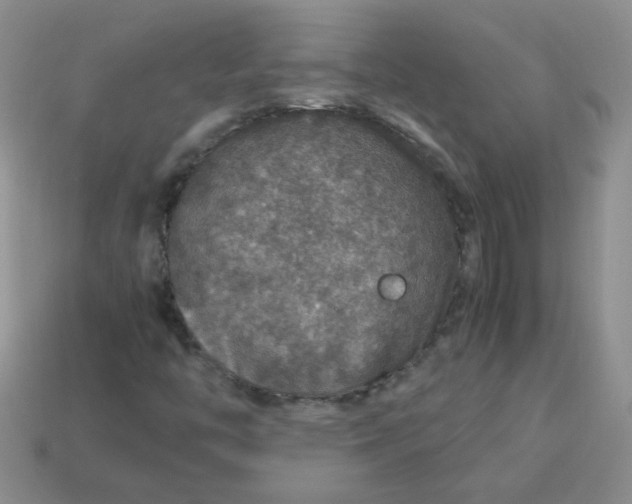 X0000113601446200910091511