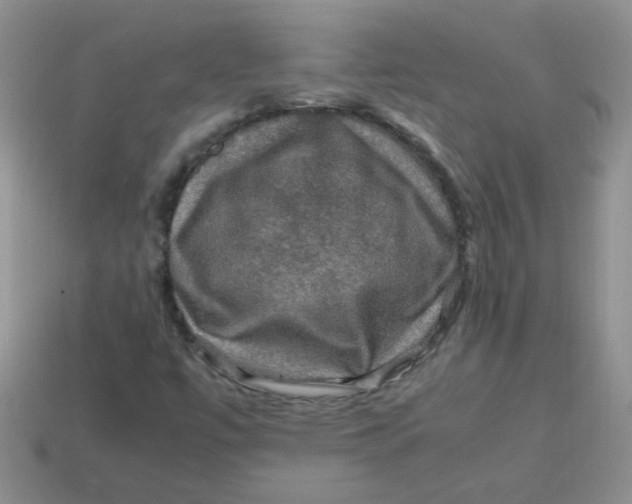 X0000113601447200910091510