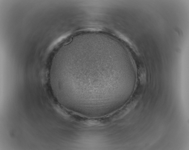 X0000113601448200910091510