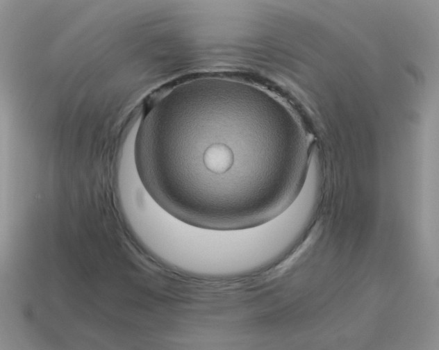 X0000113601449200910091510