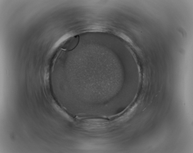 X0000113601450200910091510