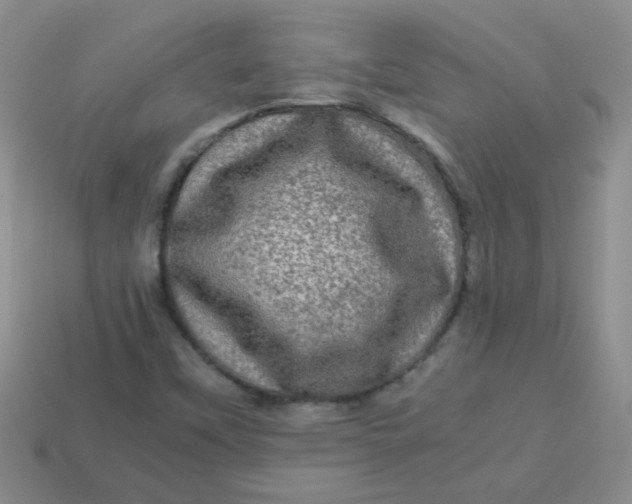 X0000113601451200910091510