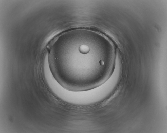 X0000113601453200910091510