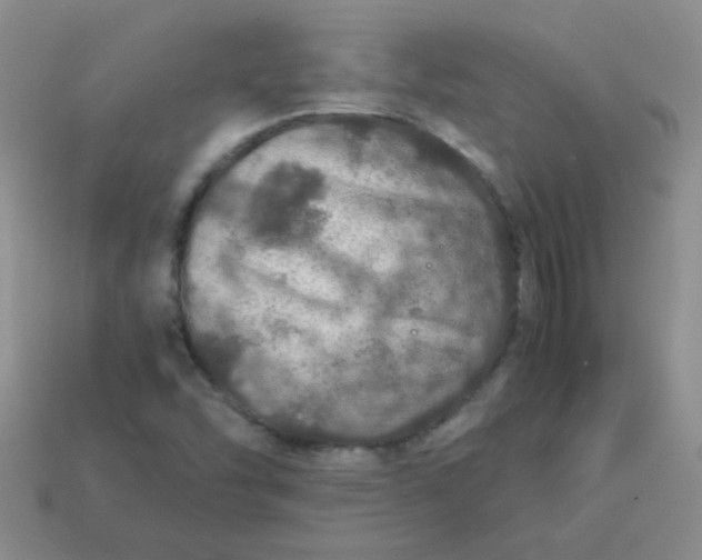 X0000113601454200910091510