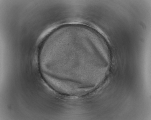 X0000113601456200910091510