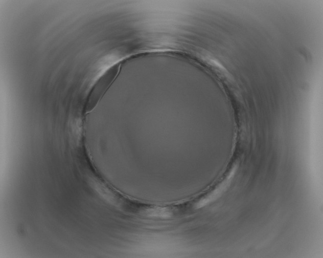 X0000113601457200910091510