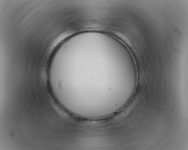 X0000113601458200910091510