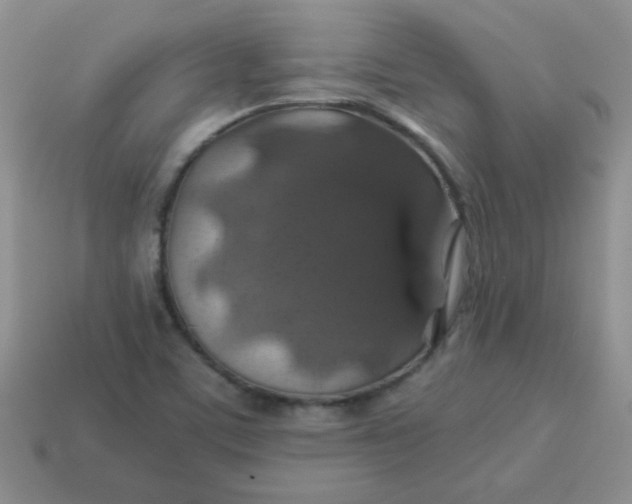 X0000113601459200910091510