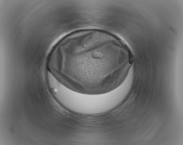 X0000113601460200910091510