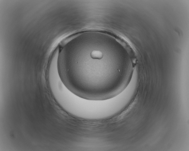 X0000113601461200910091510