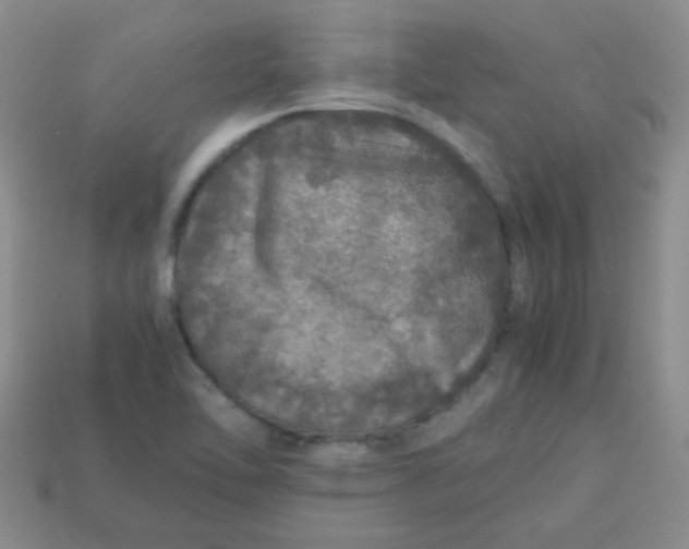 X0000113601462200910091510