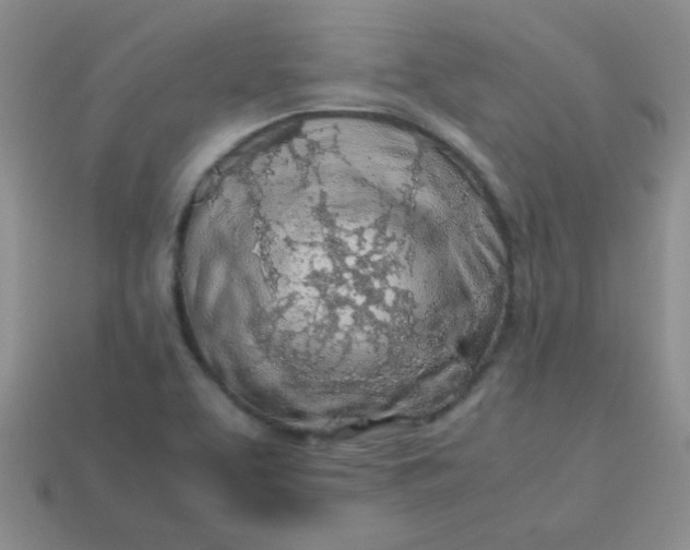 X0000113601463200910091510