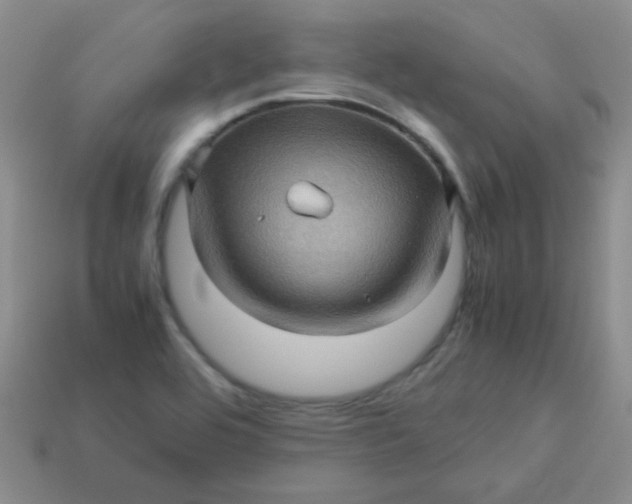 X0000113601464200910091510