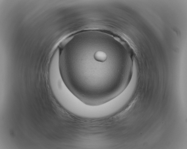 X0000113601465200910091510