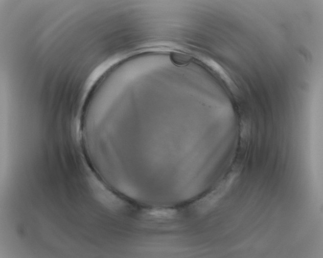 X0000113601466200910091510