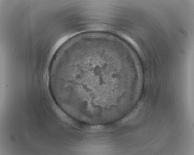 X0000113601467200910091510