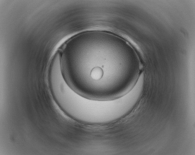 X0000113601468200910091510