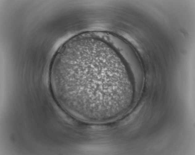 X0000113601469200910091510