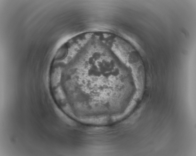 X0000113601471200910091510