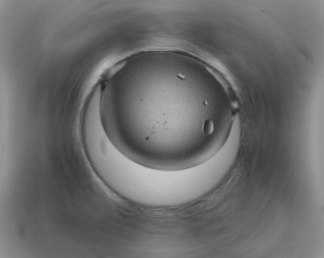 X0000113601472200910091510