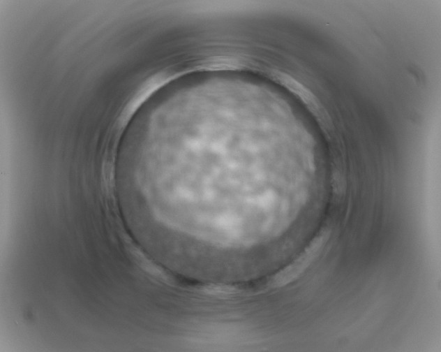 X0000113601473200910091510