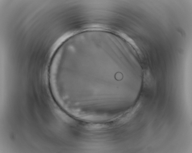 X0000113601474200910091510