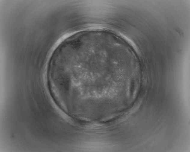 X0000113601475200910091510