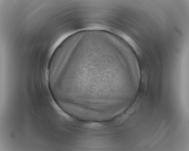 X0000113601476200910091510