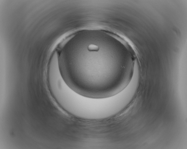 X0000113601477200910091510