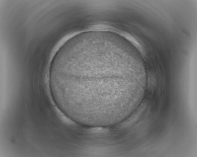 X0000113601478200910091510