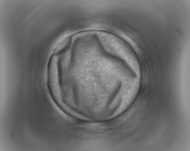 X0000113601479200910091510