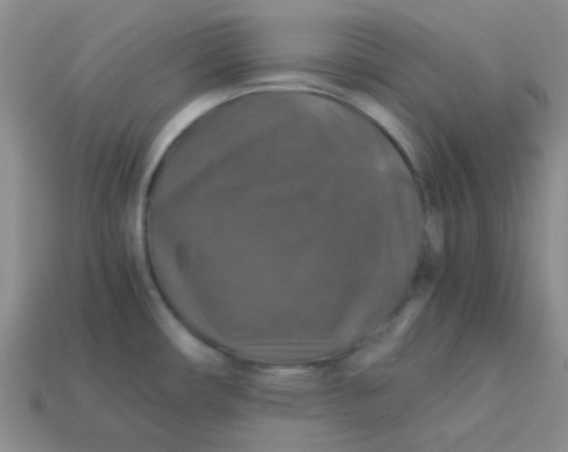 X0000113601482200910091510