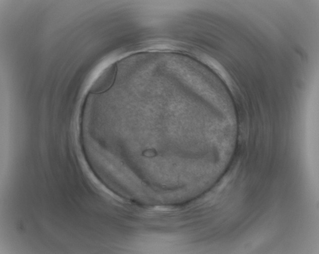 X0000113601483200910091510