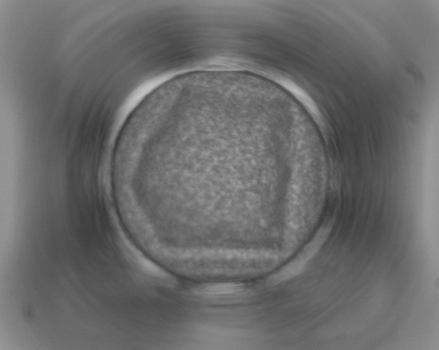 X0000113601486200910091510