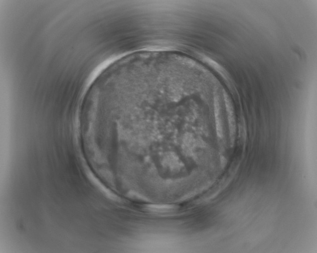 X0000113601487200910091510