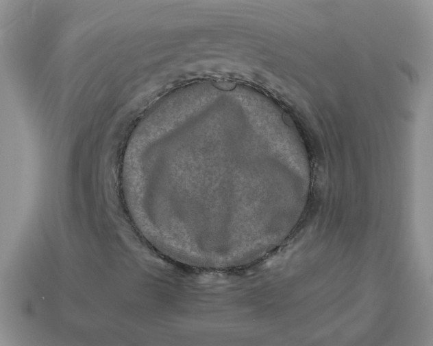 X0000113601489200910091509