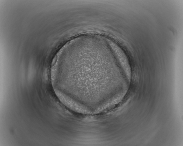 X0000113601490200910091509