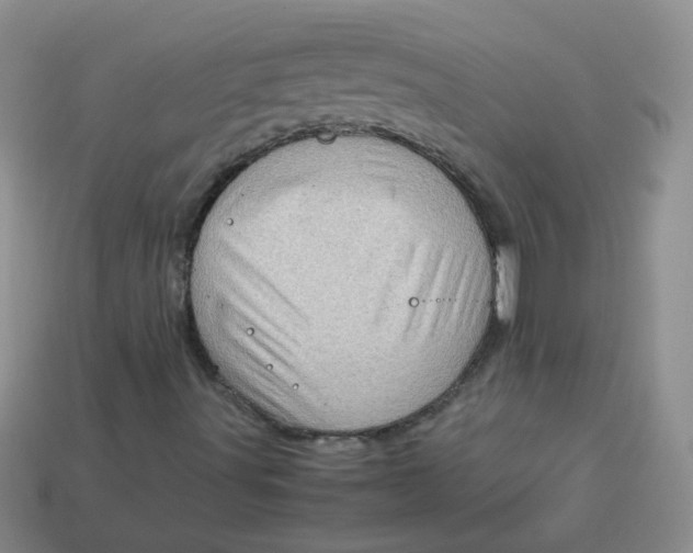 X0000113601491200910091509