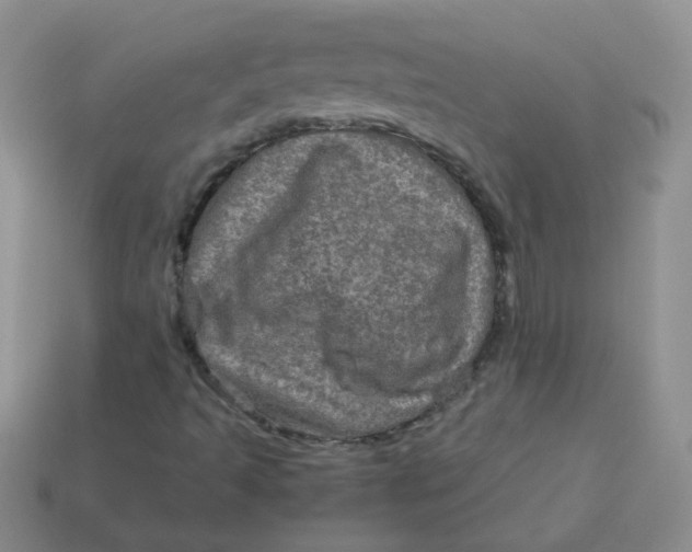 X0000113601493200910091509