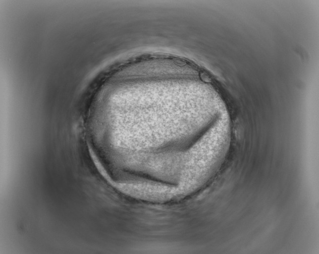 X0000113601495200910091509