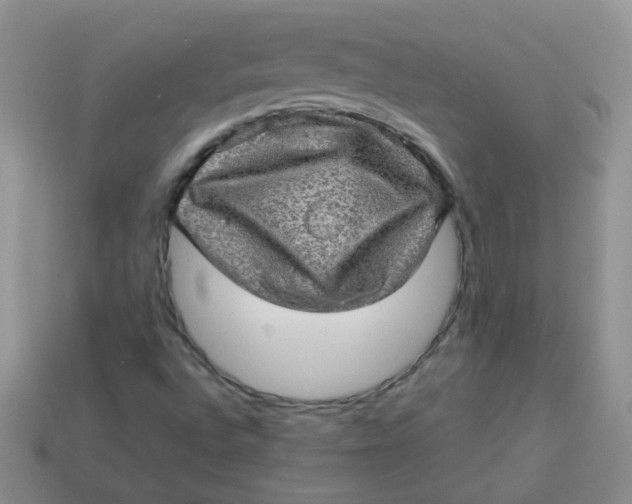 X0000113601496200910091509