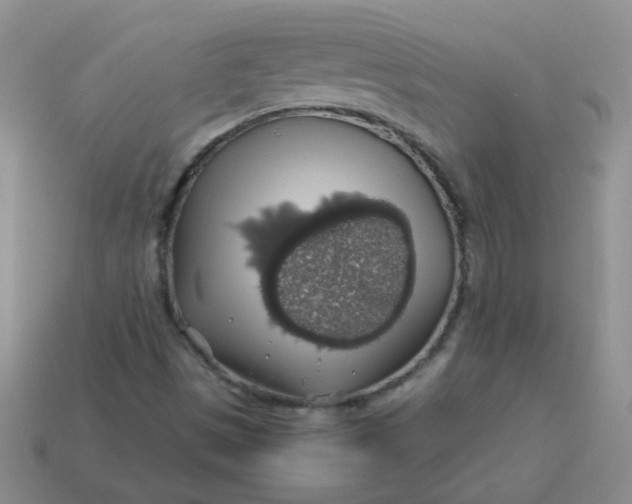 X0000113601497200910091509