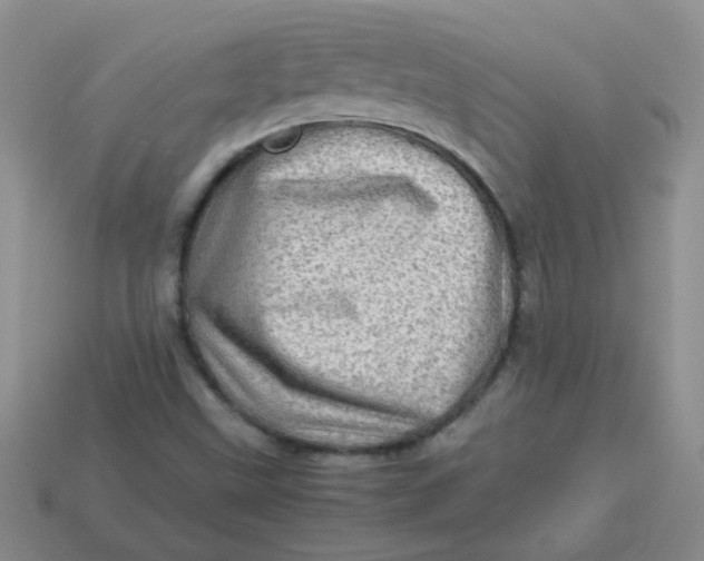 X0000113601499200910091509