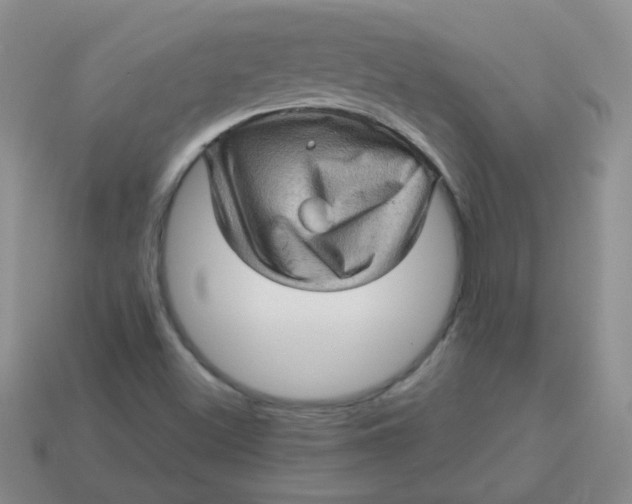 X0000113601500200910091510