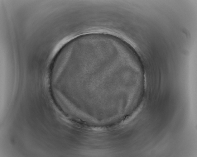 X0000113601501200910091510