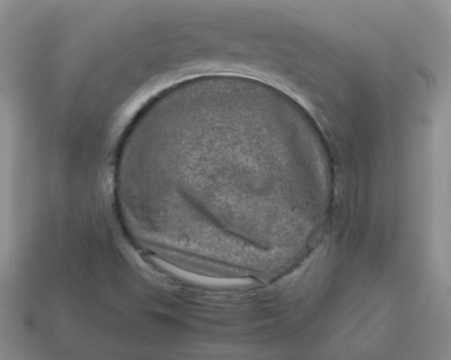 X0000113601503200910091510