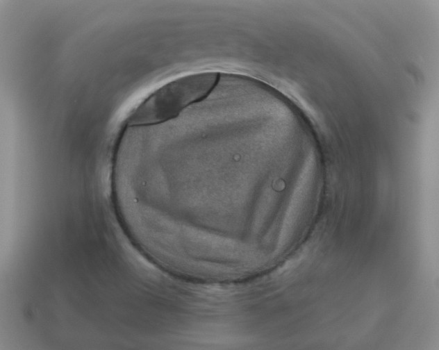 X0000113601504200910091510