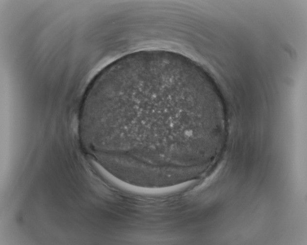 X0000113601505200910091510