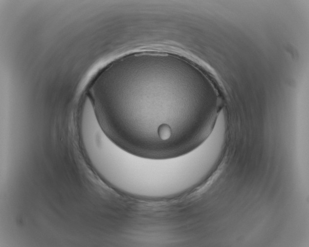 X0000113601506200910091510